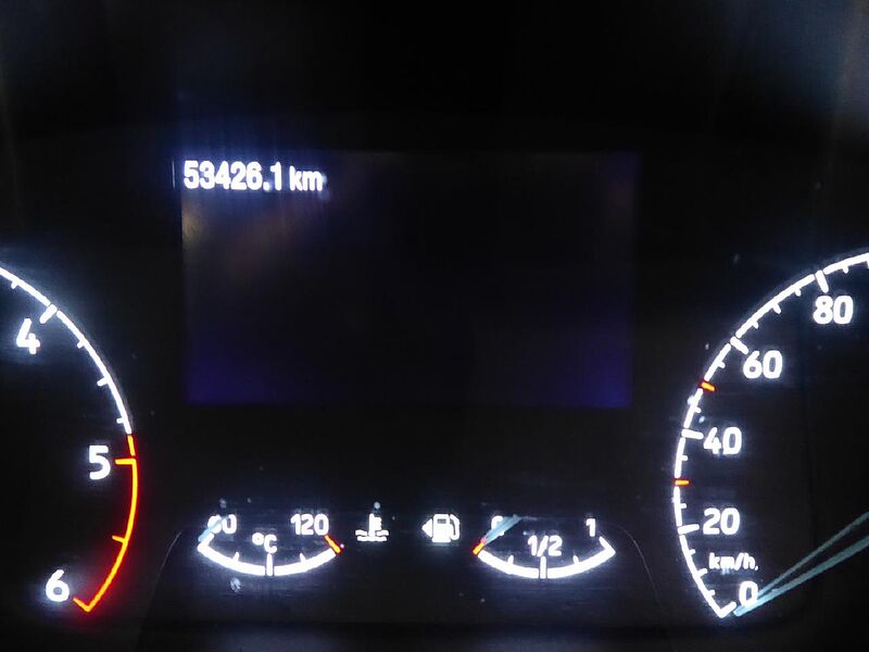 Ford Tourneo Custom Custom320 L1 Sport, NAV, CAM, SHZ