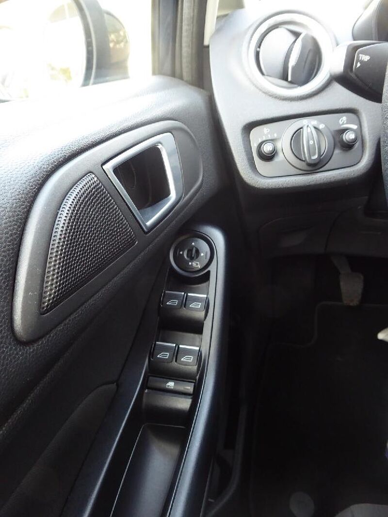 Ford Fiesta Celebration