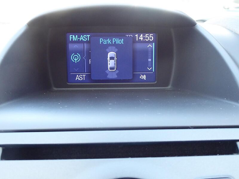 Ford Fiesta Celebration